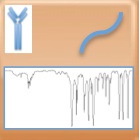  Protein: Infrarotspektrometrie (zweite Ableitung)